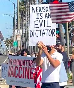 US anti-vaccine demonstrators